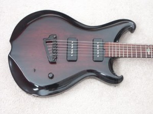 Left Panel Guitar